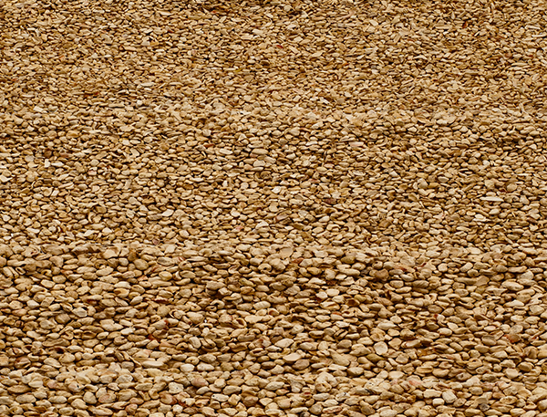 干式拋光介質(zhì)